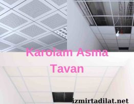 Karolam Asma Tavan kapak görsel
